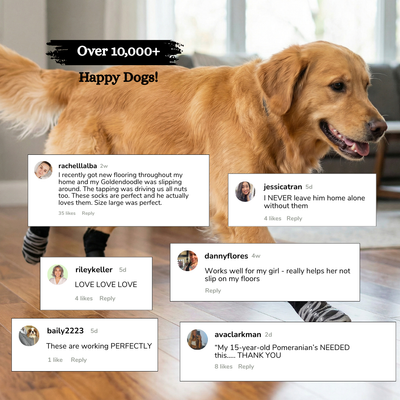 PupPouch Non-Slip Dog Socks