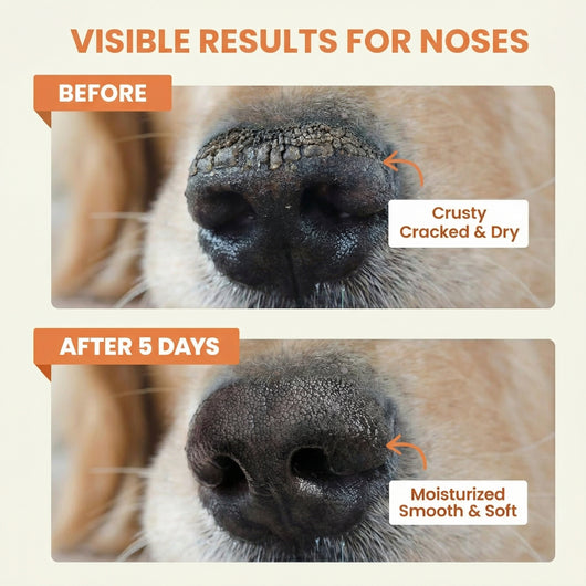 Lick-Safe Dog Nose & Paw Balm
