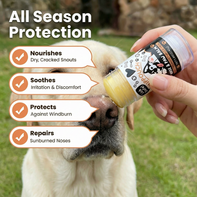 Lick-Safe Dog Nose & Paw Balm