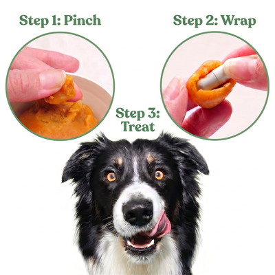 Pet Pill Blanket