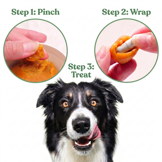 Pet Pill Blanket