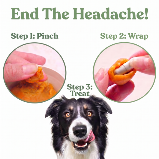 Pet Pill Blanket
